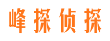 龙华市调查公司